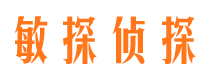 托里侦探公司